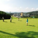 오스타메드 이미지