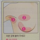 다코팩 이미지