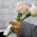 무지개언덕 이미지