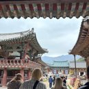 기발한식당 | 🍁알록달록 가을 속으로! 양산 #통도사 단풍놀이 다녀왔어요! +#백리원🍁울산영어회화*말랑링고클럽