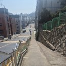 호박노래연습장 | 광명사거리역 마실 : 광명전통시장, 원조광명할머니빈대떡, 인사동떡집, 미소떡집, 클로렐라베이커리...