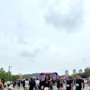 졸리레이드 X 플러피시트러스 로코코 레토 샌달 구매 후기 봄여름 신발 추천