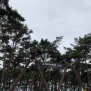 변산반도 국립공원공단 고사포 야영장1 하우스4