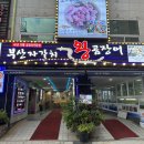 부산자갈치왕곰장어 이미지