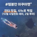 4485 | 발리 렘봉안 프리다이빙 아쿠아맨 만타 볼때까지 찾는 만타투어 2일 후기 가격 사누르 픽업
