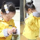 미엘담 이미지
