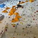 도킹치킨 이미지