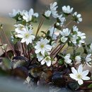 보석상자 이미지