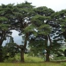 지리산둘레길 1코스 이미지