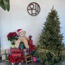 카페우내 이미지