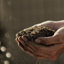 3원-天,地,人 이미지