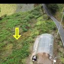 김삿갓면-6 이미지