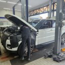 뉴본모터스 이미지