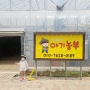 수원-0189 네이버블로그