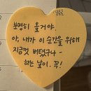 육성 | 포항시 선린대 청년예비창업가육성사업 후기