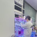 토이즈팝 이미지