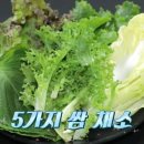 리필 이미지