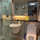 제주코기네 이미지