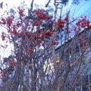 191222 로또 890회 1등 9명 23억원…&#39;서울은 또 없었다&#39; 이미지