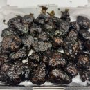 속초여행(2) 속초 중앙시장(속초관광수산시장) 주차장...팁 오징어순대, 감자전, 강원도술빵, 오징어...