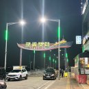 대성애견 | 인천 영종도맛집 대성수산 내돈내산 | 구읍뱃터횟집 애견동반식당