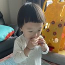 해나루식품 이미지