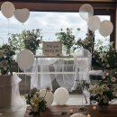 파라스테이 이미지