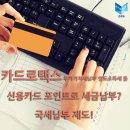 ﻿카드로택스 부가가치세납부 양도소득세 등 신용카드 포인트로 세금납부? 국세납부 제도! 이미지