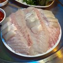 지에스25정선사북점 | [정선 사북] 해물포장마차 🐟 가성비 좋은 광어회 맛집 | 내돈내산 후기
