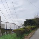 온산이주민망향비 이미지