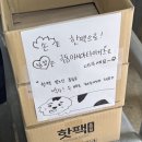 미다의원 | 얼마나 열심히 놀수있는지 아르켜줄께 (부제: 내가홍대에살았다면 매일 빨간버스 왕복 비용 7200...