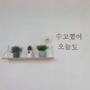 어스름달 이미지