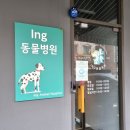 아이앤지동물병원 이미지