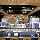 아라스시 이미지