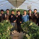 동정농장 이미지