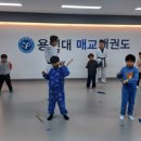용인대 매교태권도장 이미지