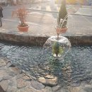 옹달샘시장 이미지