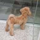 대박이2 이미지