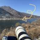 M.A.G 태권도 | 참수리 촬영 - 탐조가 쉬워지는 400800G [Sony FE 400-800mm F6.3-8 G OSS]