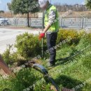 남악로 162번길 이미지