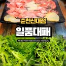 순천 신대 삼겹살 가성비 고기집 일품대패 재방문 맛집