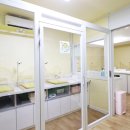 도로시 산후조리원 이미지