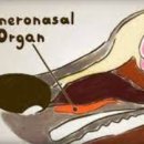 아이튼튼 동물병원 이미지