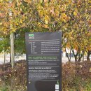 횡단보도 부근 | DMZ평화의길 5코스 후기