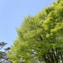 이마트24충주중앙탑점