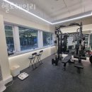 헬로헤일리 이미지