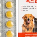 아나포유