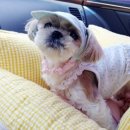 화랑유치원 이미지