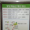 오동도2 이미지