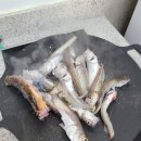 양양 오션비치 이미지